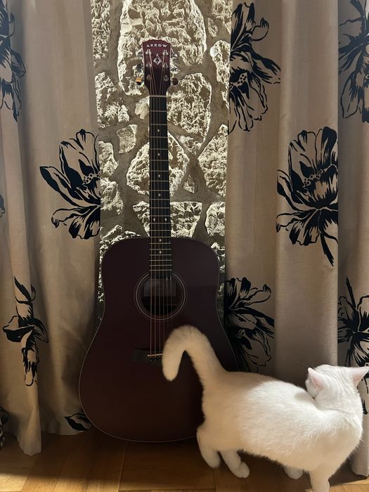 Chitara acustica Arrow Silver Wine Red