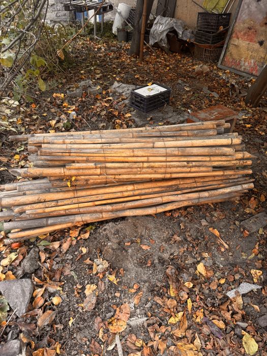 Продам бамбук сухой