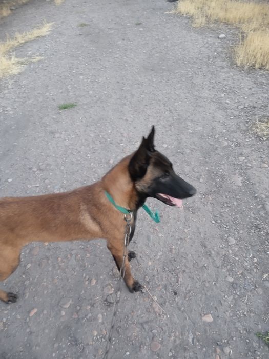 Uchuvchi tungi klub porno