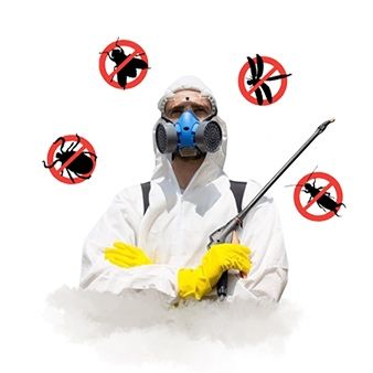 Скидки 20%дизенфекция Дизинфекция дезенфекция dizenfeksiya дезинфекция