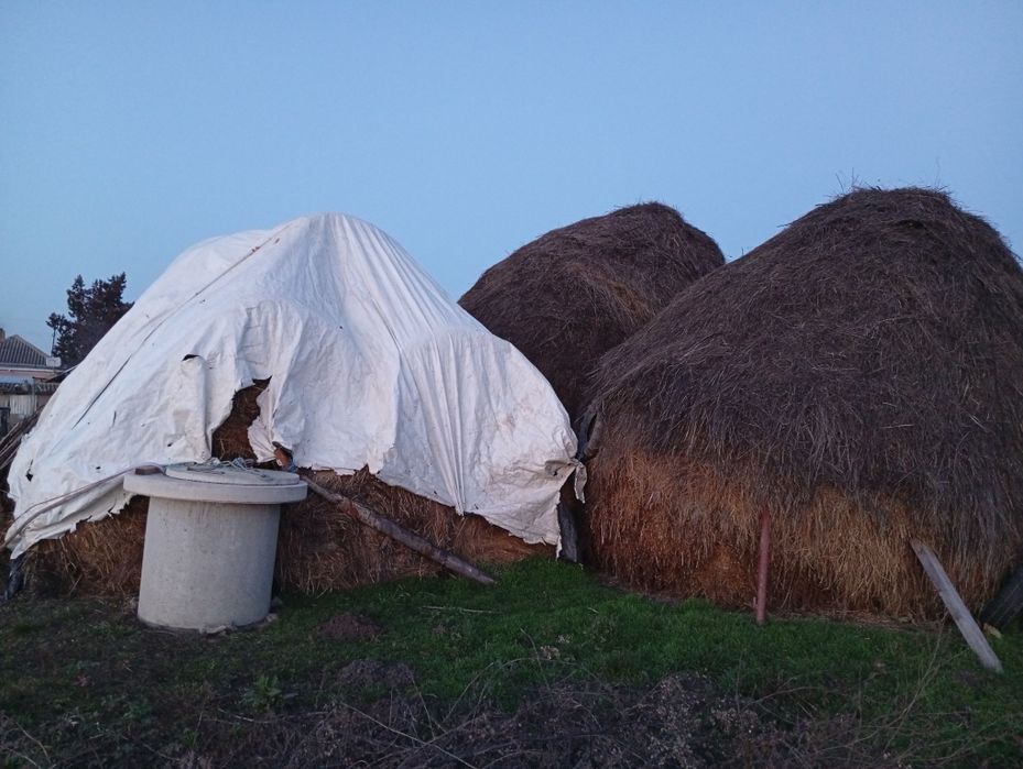 De vânzare, baloți de fân și un stog de lucernă.