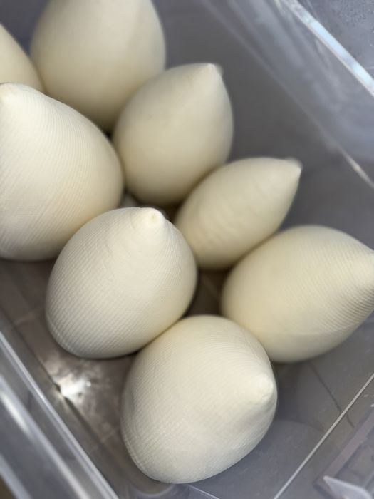 Vând brânză de capră – lapte de la capre Alpine Franceze