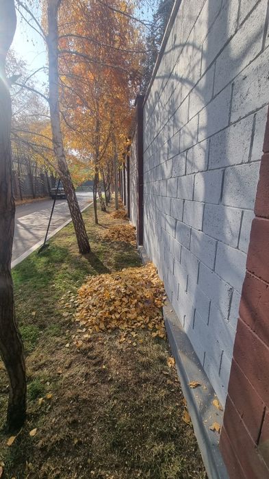 Осенняя уборка сада