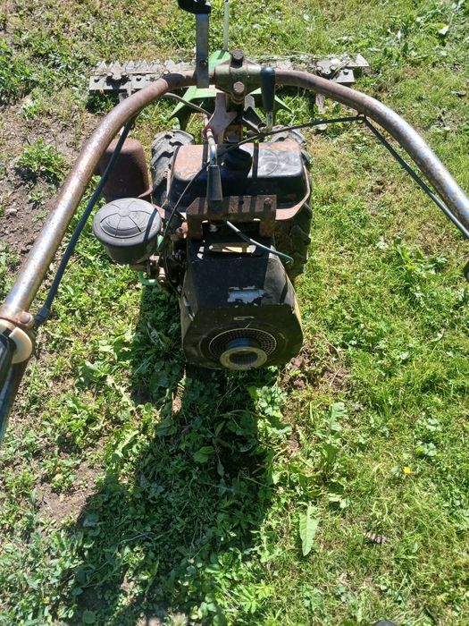 Anunțuri agricole