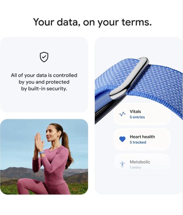 Браслет Fitbit Air
