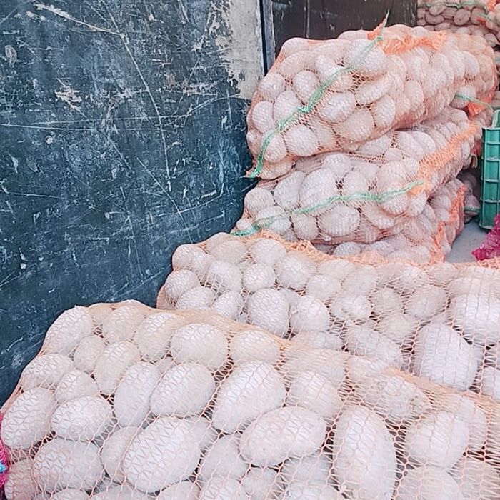 cartofi de consum. 1 leu kg