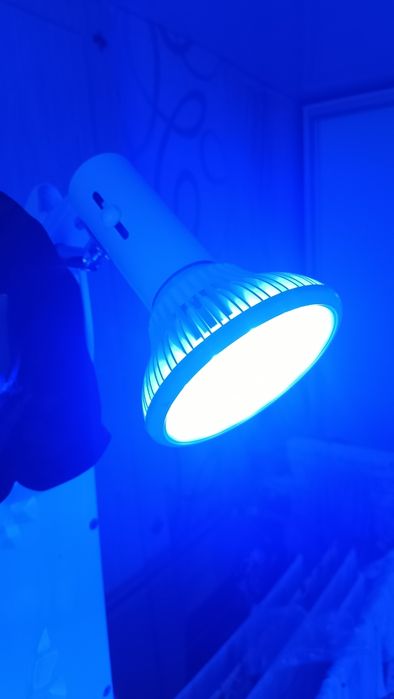 Лампа ультрафиолет от желтушки!