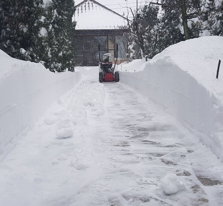 Freza zapada HECHT motor 6,5 cp benzina