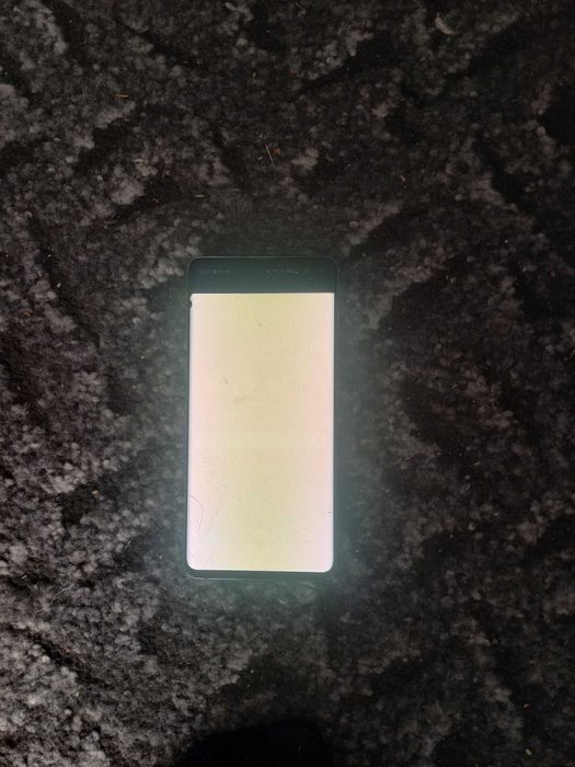 Samsung s10 plus display defect