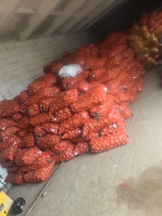 Картофель со склада 80 тенге