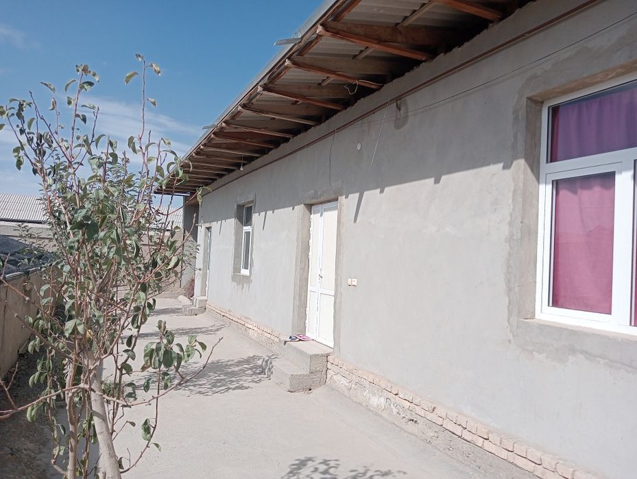 Кармана Боғишамол (Фарзод савхоз)хамма шароити бор ховли сотилади