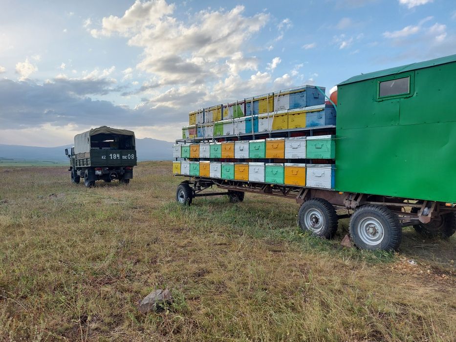 Продам пчелоприцеп