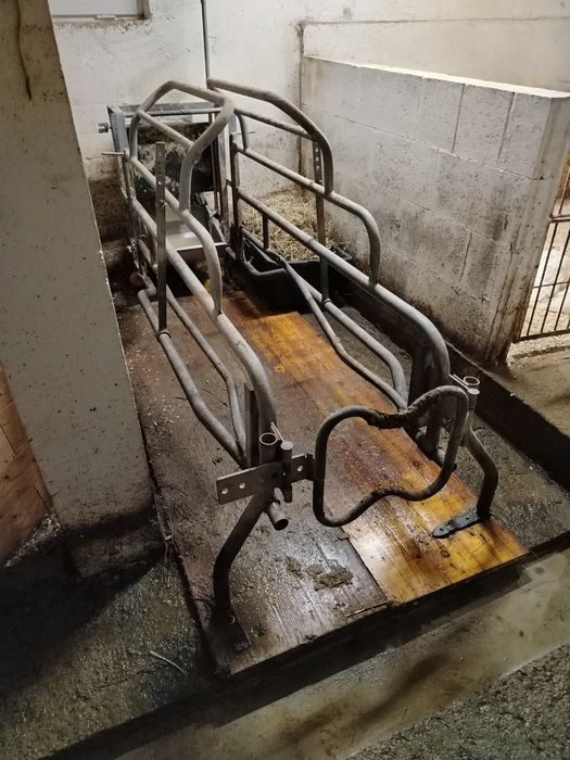 Boxa fatari scroafe cu hranitoare si adapatoare!