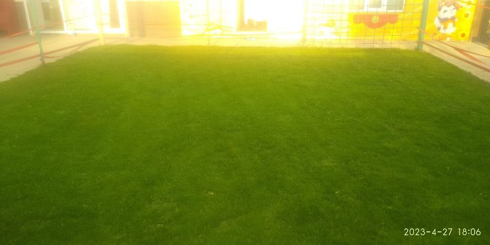 Газоны цветы деревья