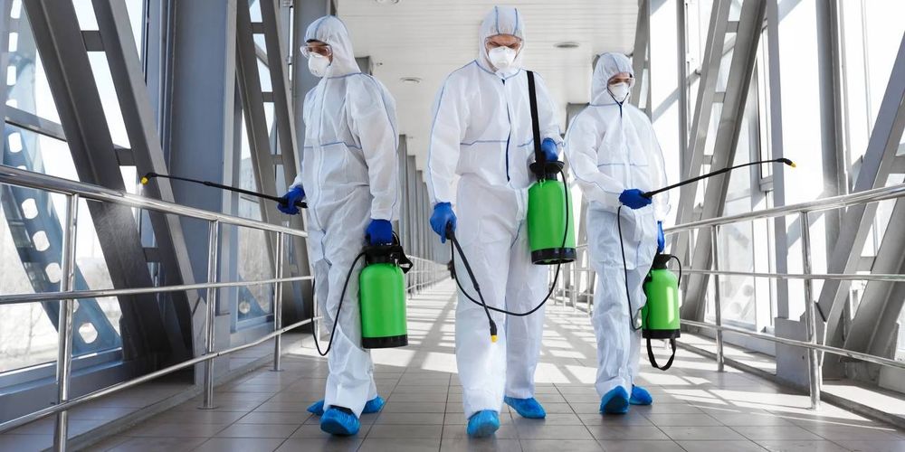 Дезинфекция Тараканов Клопов Мух Блох Клещей