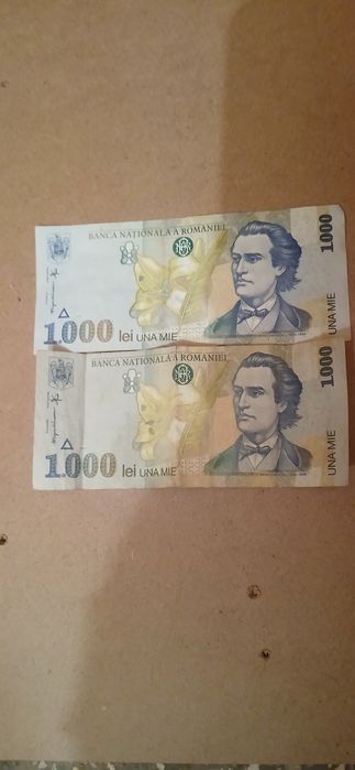 Bagnote mihai eminescu