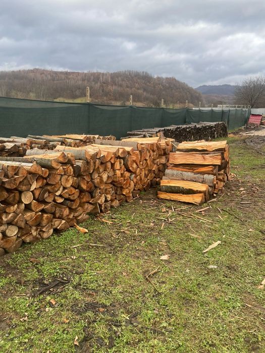 ‼️Lemne de foc esențe tarii[Fag,gorun,carpen,cer] la cele mai bun preț