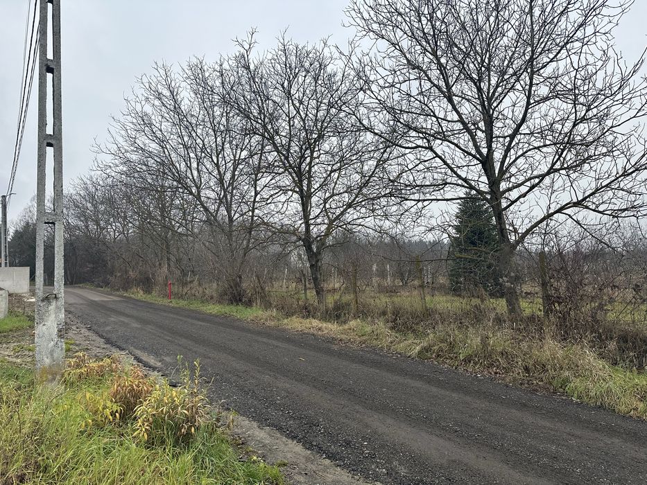 Teren intravilan str Dâmbului 3