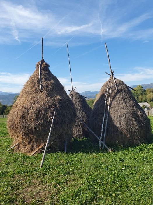 Clăi de fan si otava