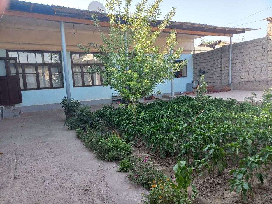 Assalomualekum yashnabod oxangrabo kochasida 4.6 sotx uy sotiladi