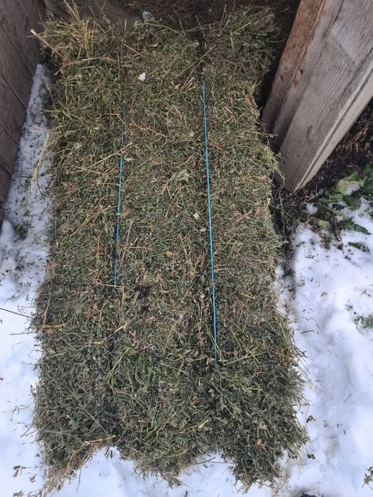 Baloți de lucernă dreptunghiulari