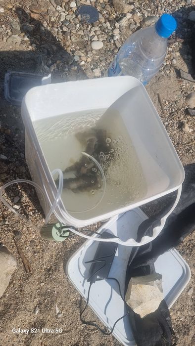 помпа за въздух с usb за риболов и аквариум