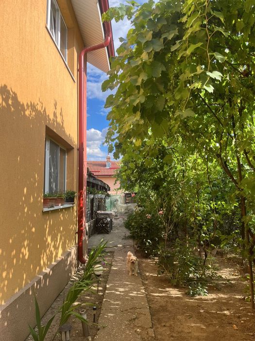 Casă P+E de vanzare in Podari