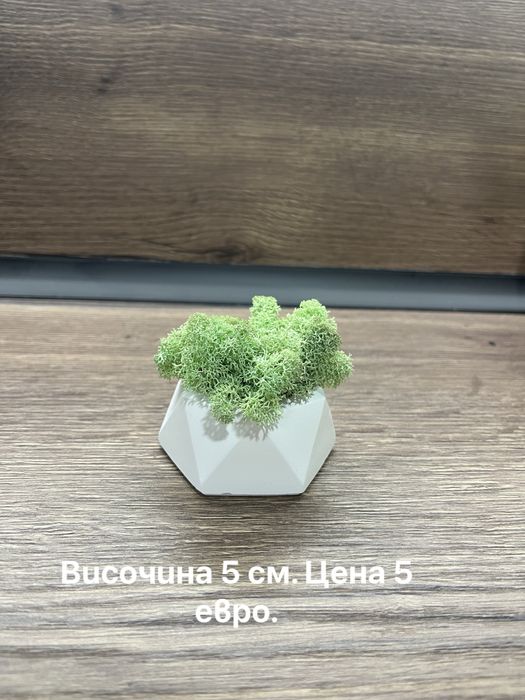 Декорация със скандинавски мъх