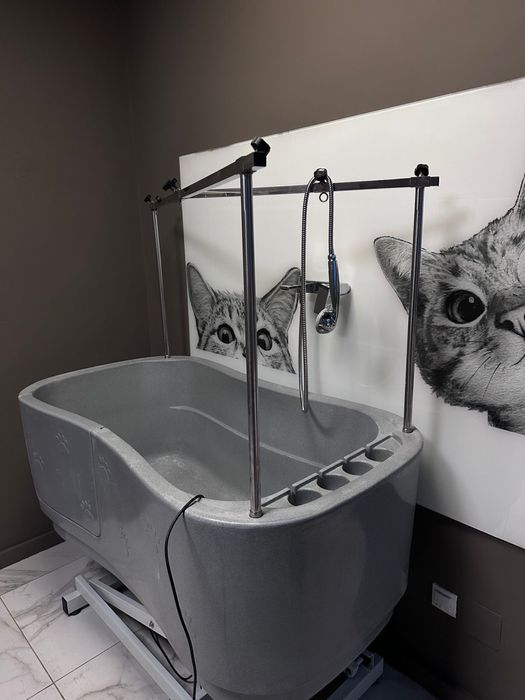 Cadă profesională reglabilă electric