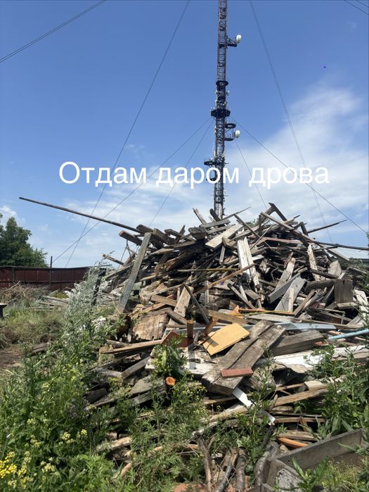 Отдам даром дрова