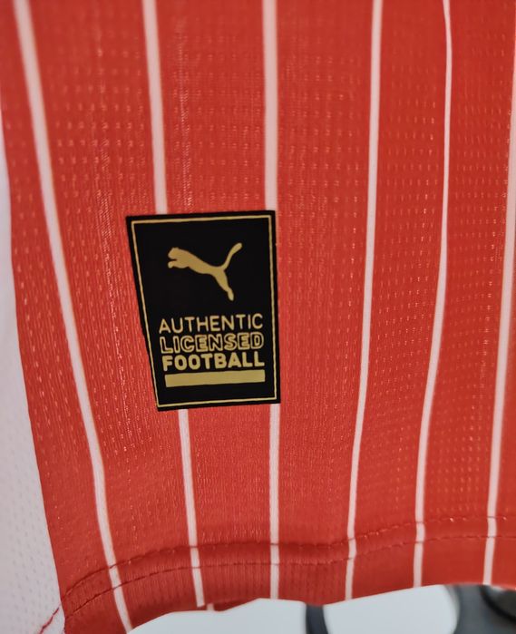 Tricou Dinamo simplu