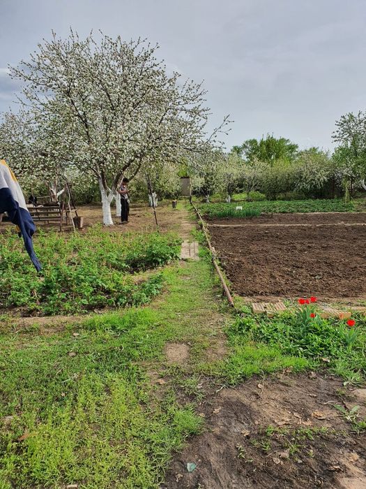 Продам дачу 10 соток с домиком