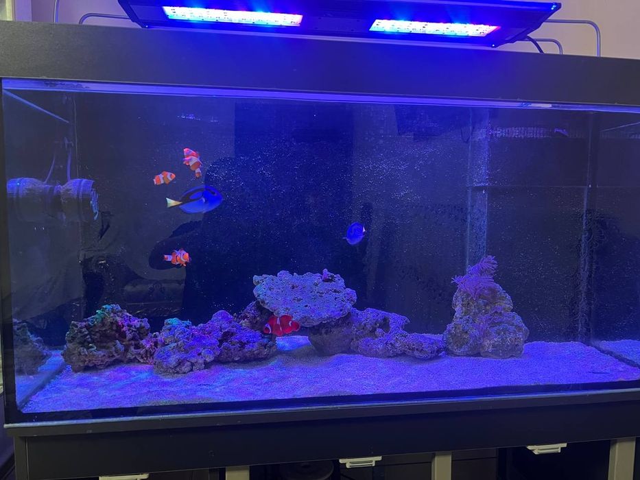 Продам морской аквариум 280 литр