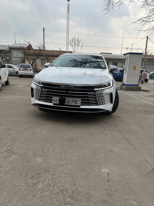 Byd Chazor gibrit 2023 yil