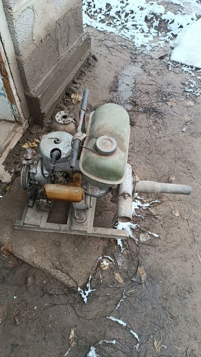 Продаю чабанку давно не заводили