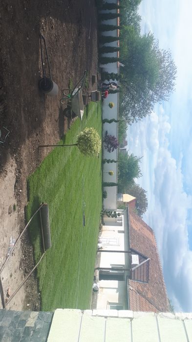 Gazon rulou si insamantare