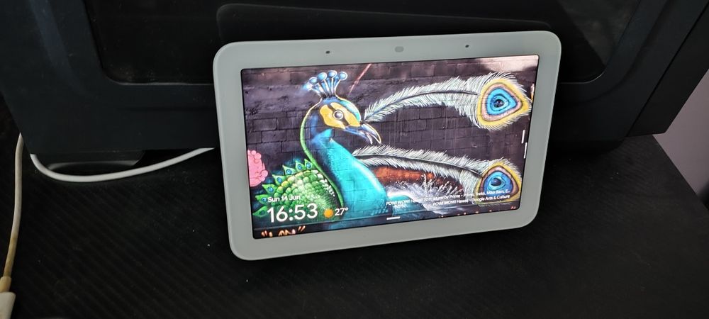 Google nest hub 2