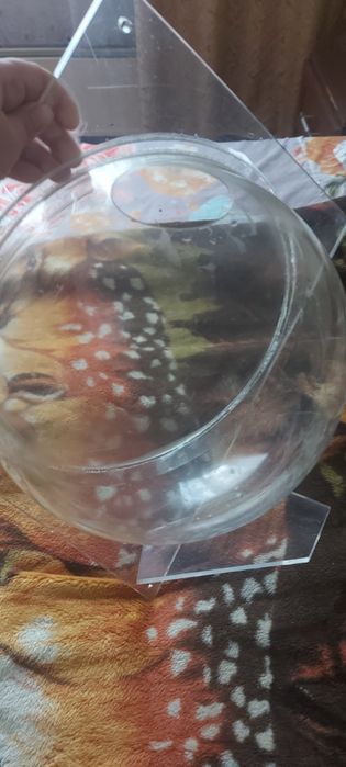 Аквариум настенный