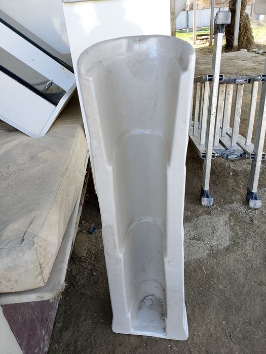 Раковина тюльпан