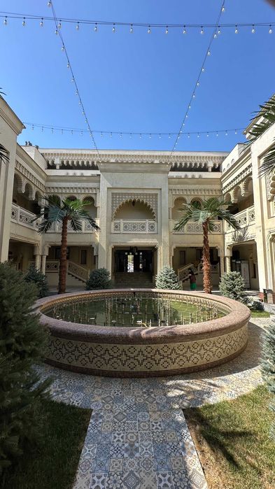 Навоий | Премиум суний пальма 3м–8м — кафолат + сервис! -30%