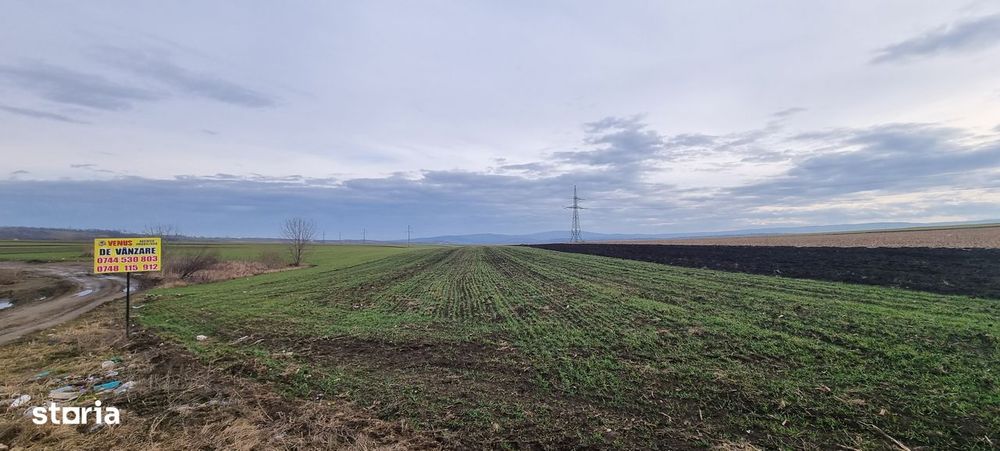 Teren zona Zaicesti la strada