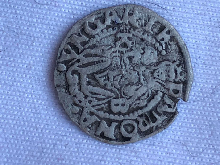 i 1 DINAR.  din Transilvania