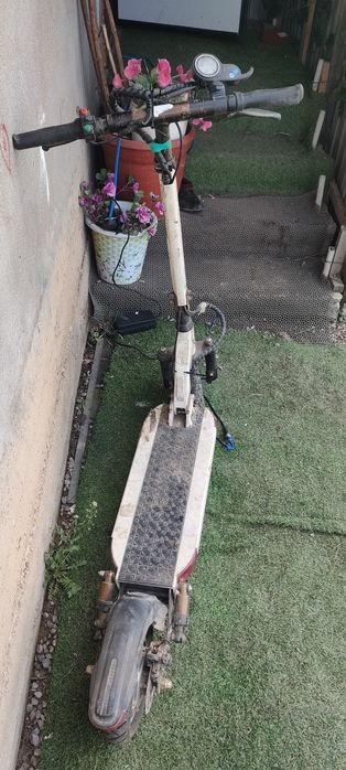 Проадм Электросамакат