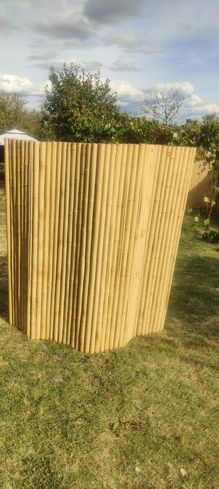 Vând bambus pentru decor, 180x180