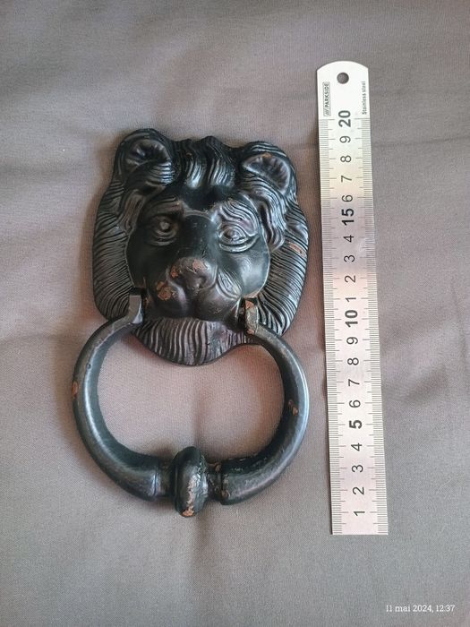 Ciocănitoar de usa.