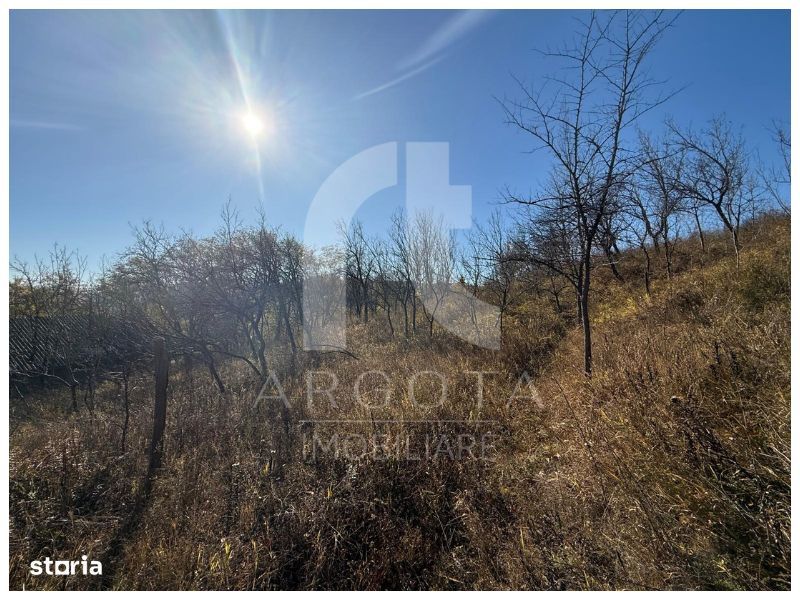 Teren Cozieni - Valea Banului | Comision Zero