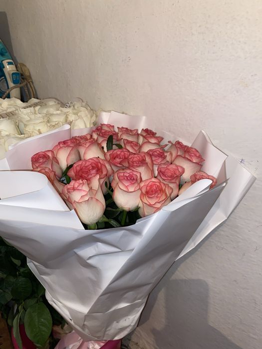 25 шт, голландский розы