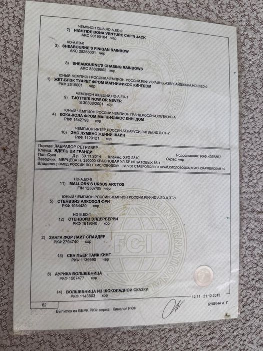 Лабрадор ретривера щенки