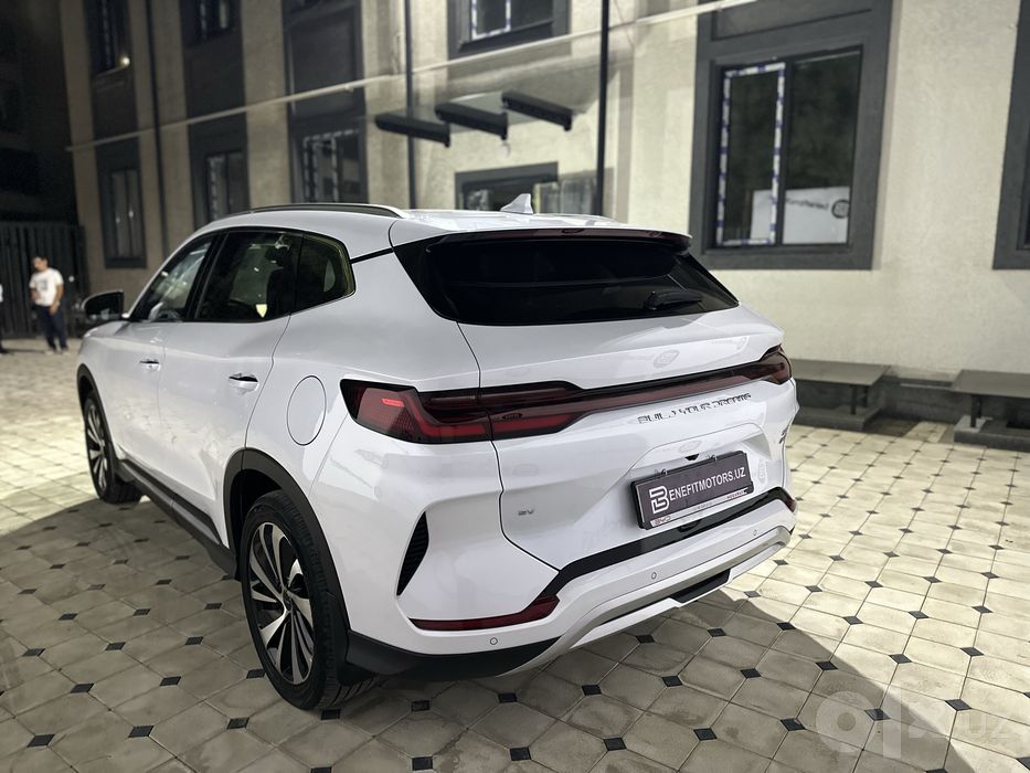 Byd champion 605 km toza