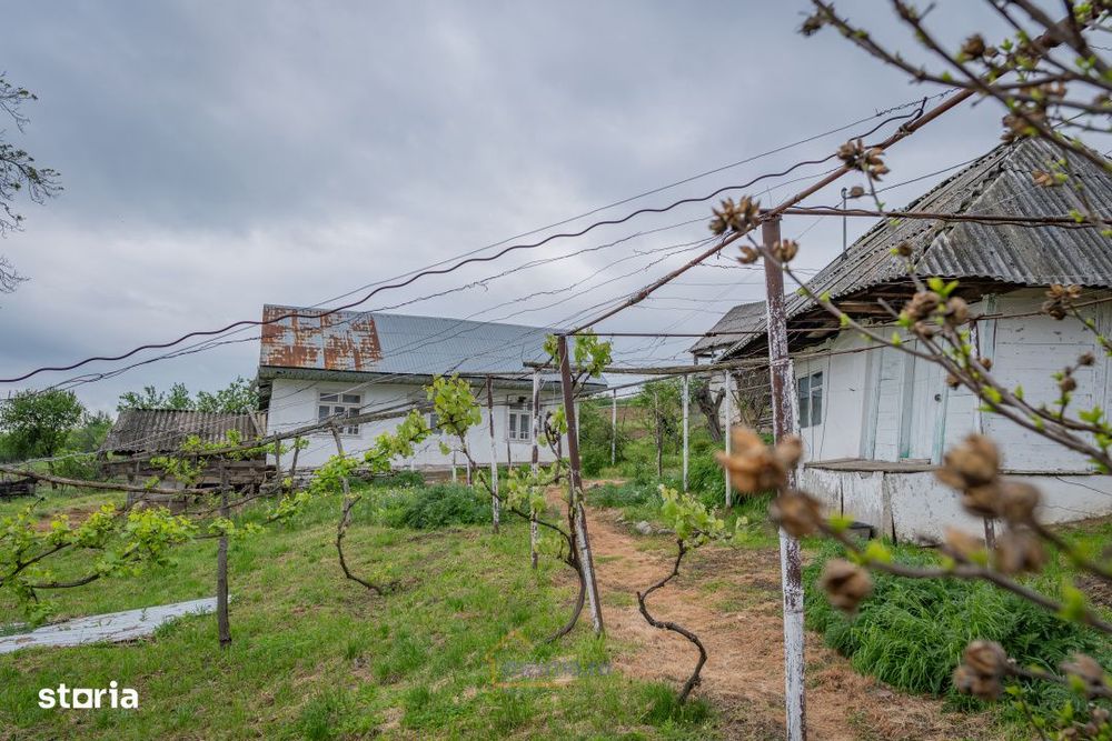 Casa din chirpici, bucatarie de vara si 1.34 ha de teren, Ardeoani